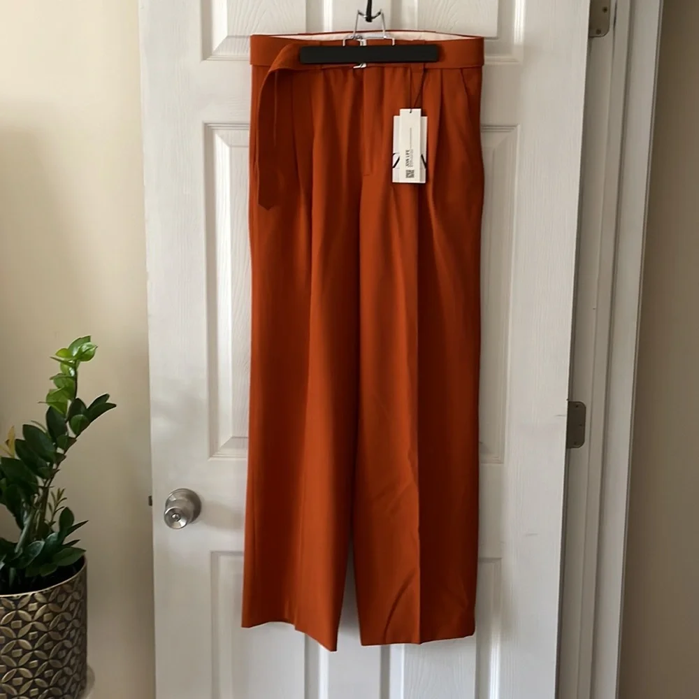 Zara Burnt Orange Trousers with built-in belt - Picture 2 of 9